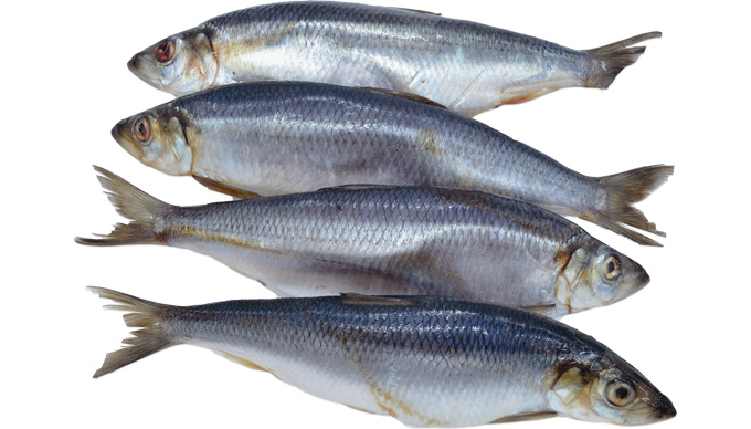 Poissons